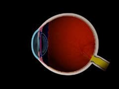 Normal Vision | Hattiesburg Eye Clinic