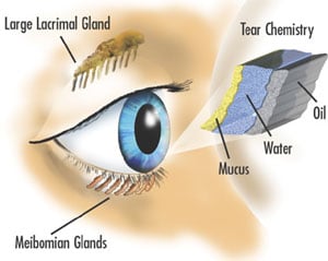 Dry Eye Diagram